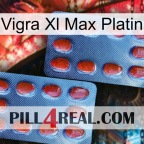 Vigra Xl Max Platinum 05